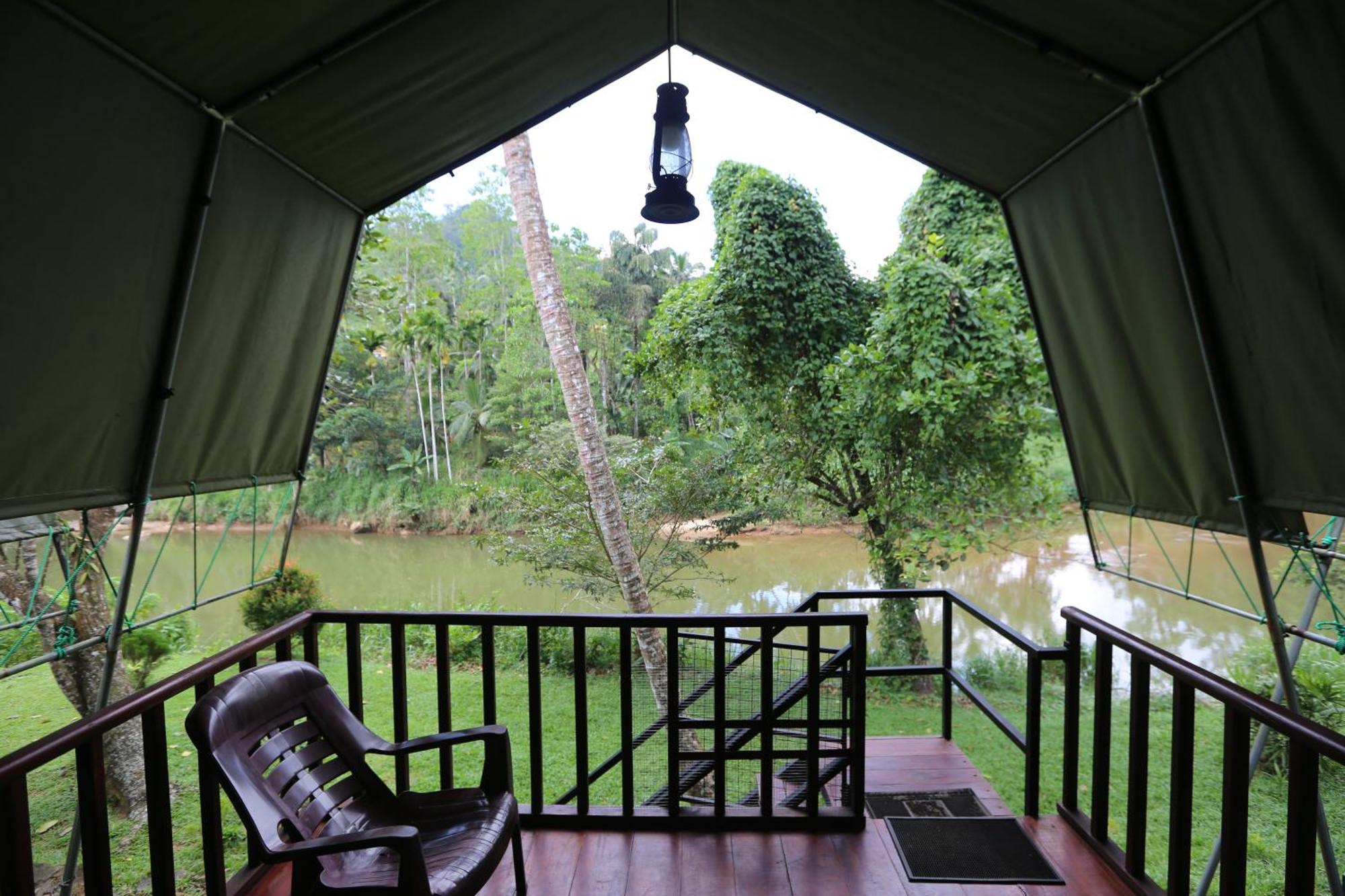 360 Rainforest Deniyaya Exterior foto