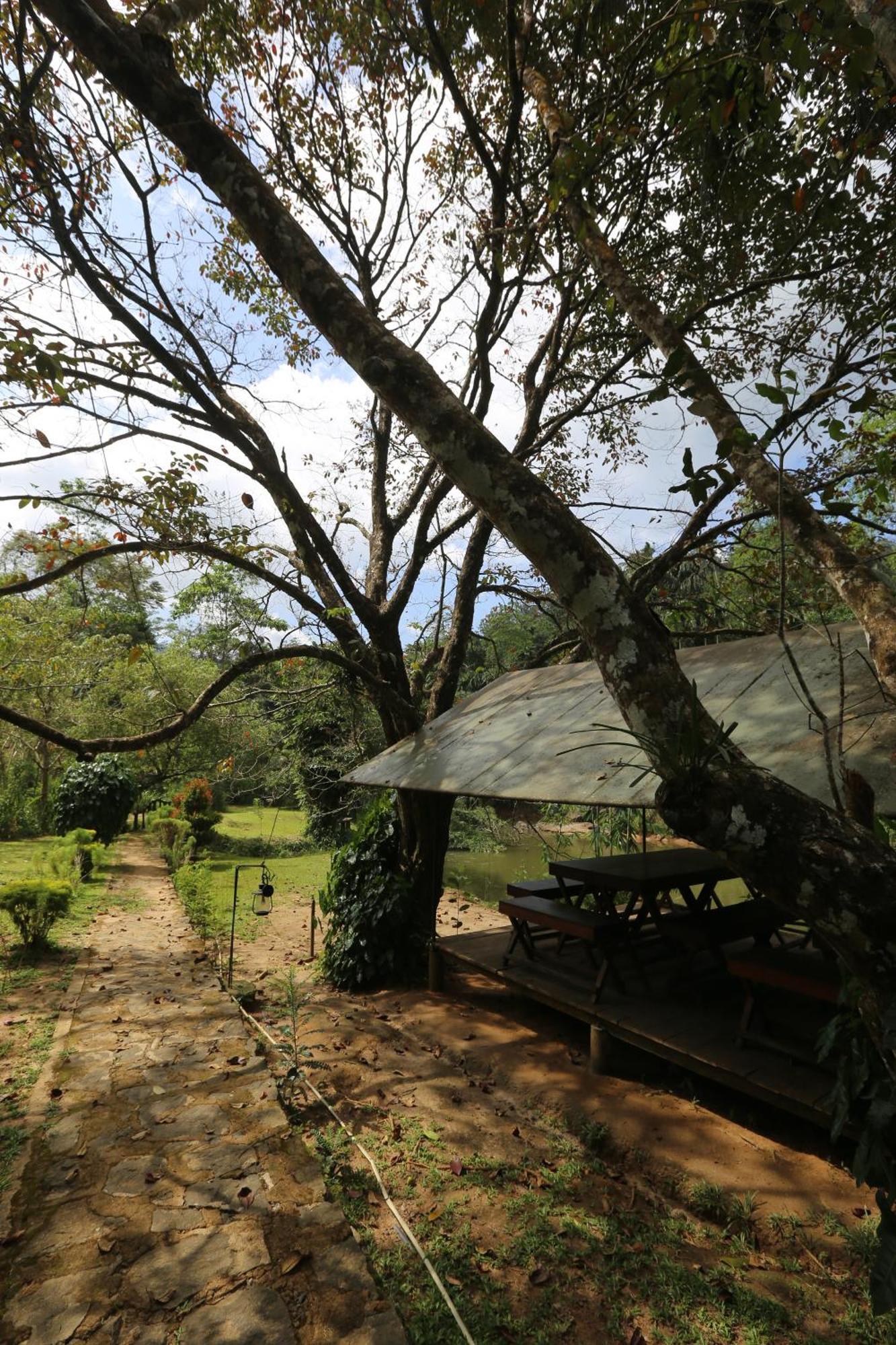 360 Rainforest Deniyaya Exterior foto