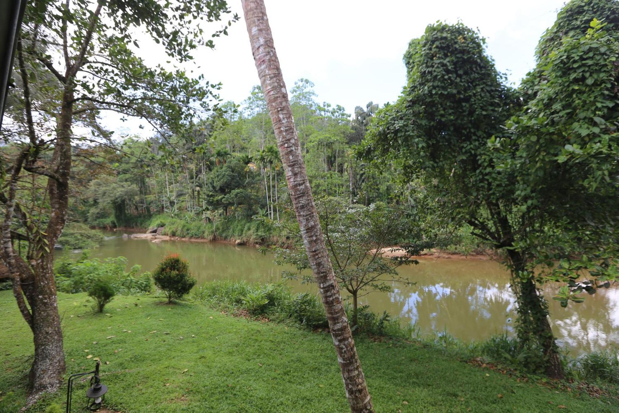 360 Rainforest Deniyaya Exterior foto