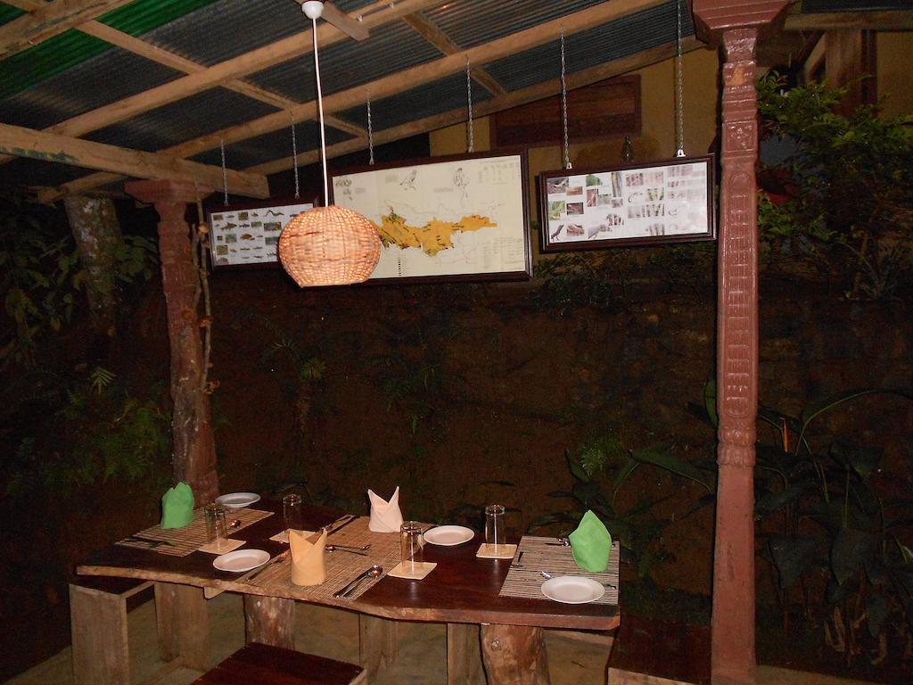 360 Rainforest Deniyaya Habitación foto