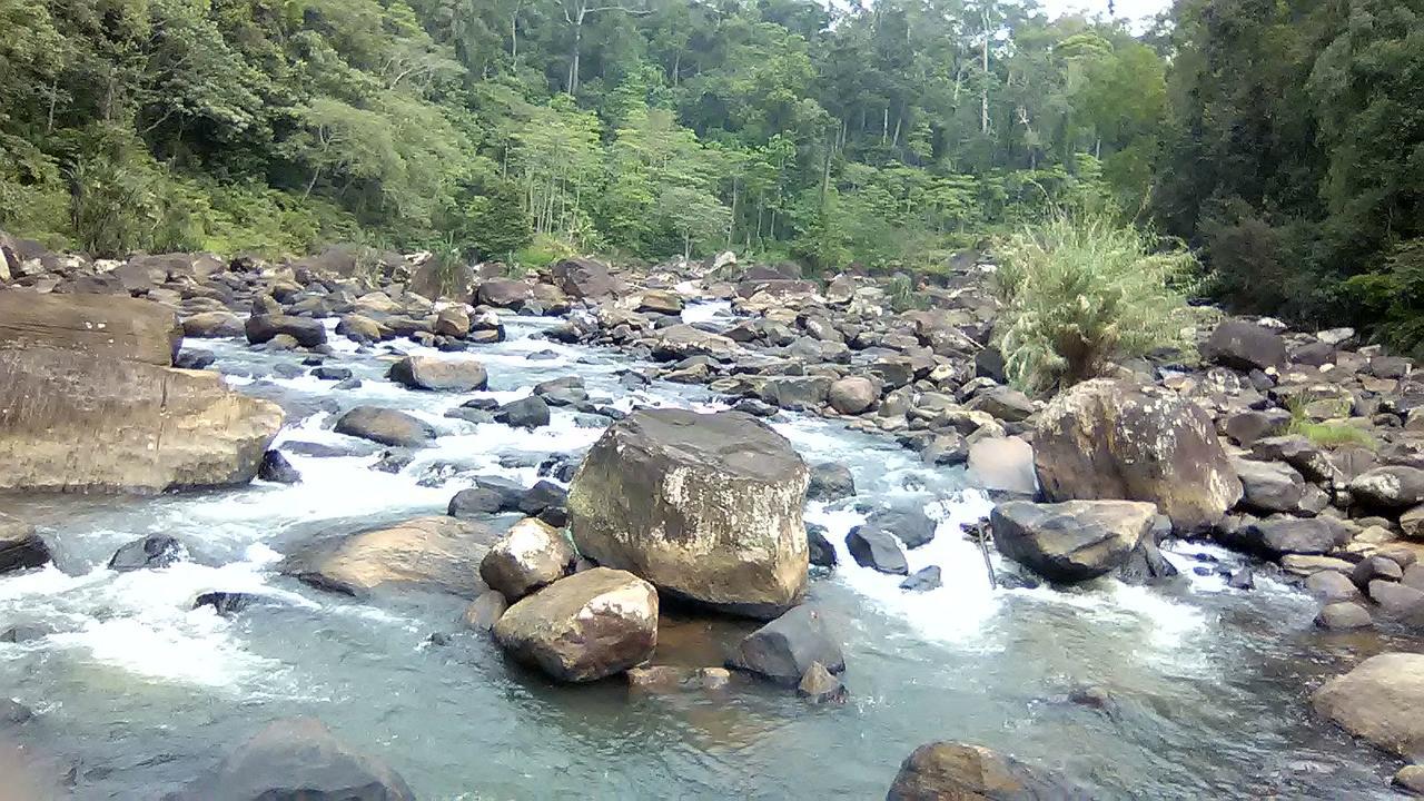 360 Rainforest Deniyaya Exterior foto