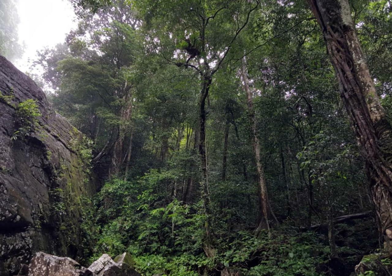 360 Rainforest Deniyaya Exterior foto