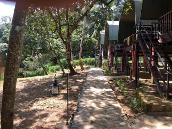 360 Rainforest Deniyaya Exterior foto