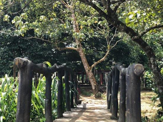 360 Rainforest Deniyaya Exterior foto