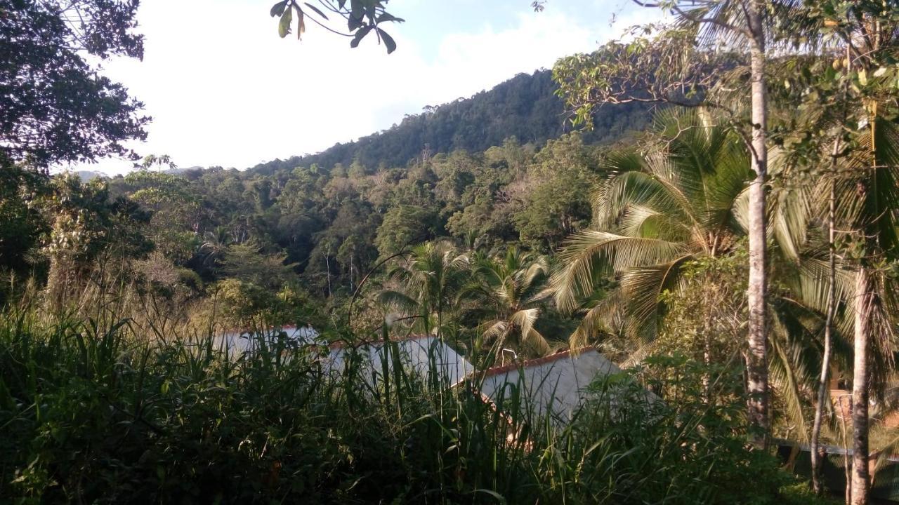360 Rainforest Deniyaya Exterior foto